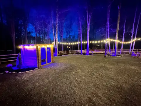 Night-lit backyard with sauna, hammock, tree swing, and string lights weaving through the uplit forest